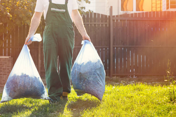 Best Basement Cleanout  in Searles Valley, CA